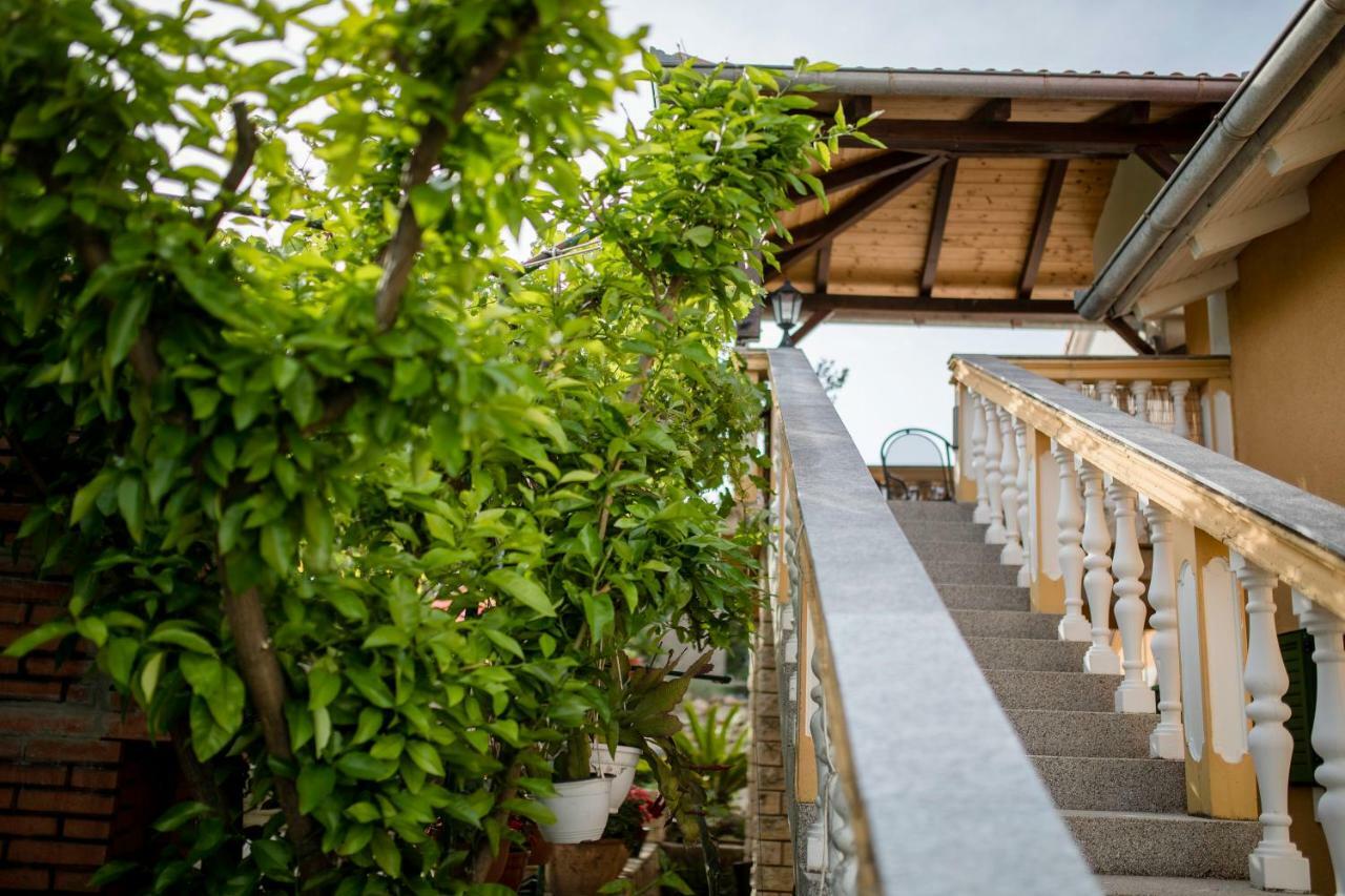 Apartmani Godinić Palit Zewnętrze zdjęcie